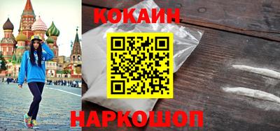 крисы Кулебаки