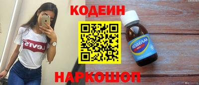 крисы Кулебаки