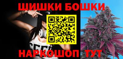 крисы Кулебаки