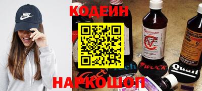 крисы Кулебаки