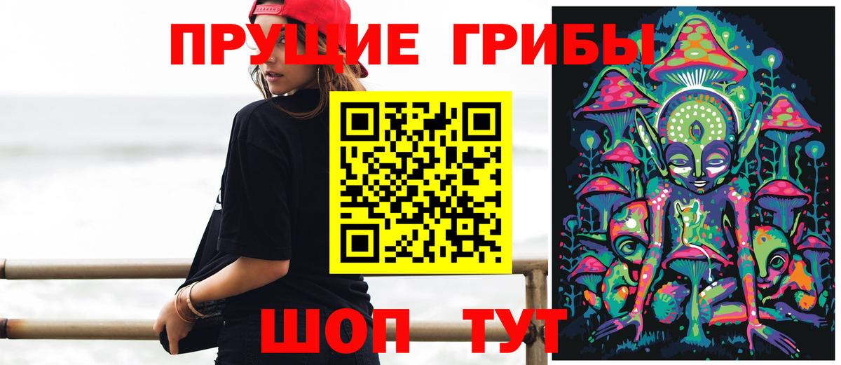 Галлюциногенные грибы Psilocybe Вязники